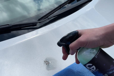 How to Clean Bird Poop off Car - AutoGlanz AG Car Care