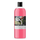 Valet+ Shampoo - AutoGlanz AG Car Care